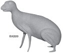 RAB09